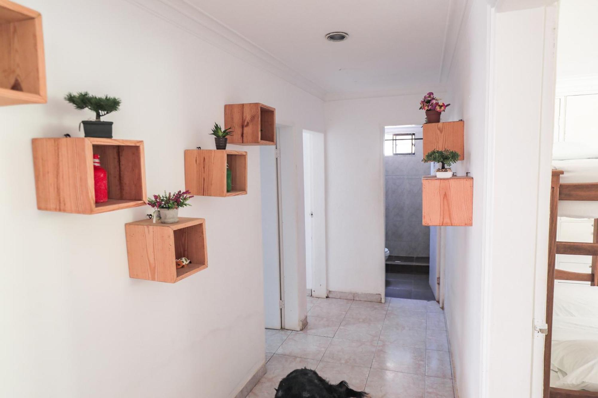 Hostal Palo Alto San Andrés Εξωτερικό φωτογραφία